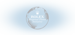 Rolex Logo
