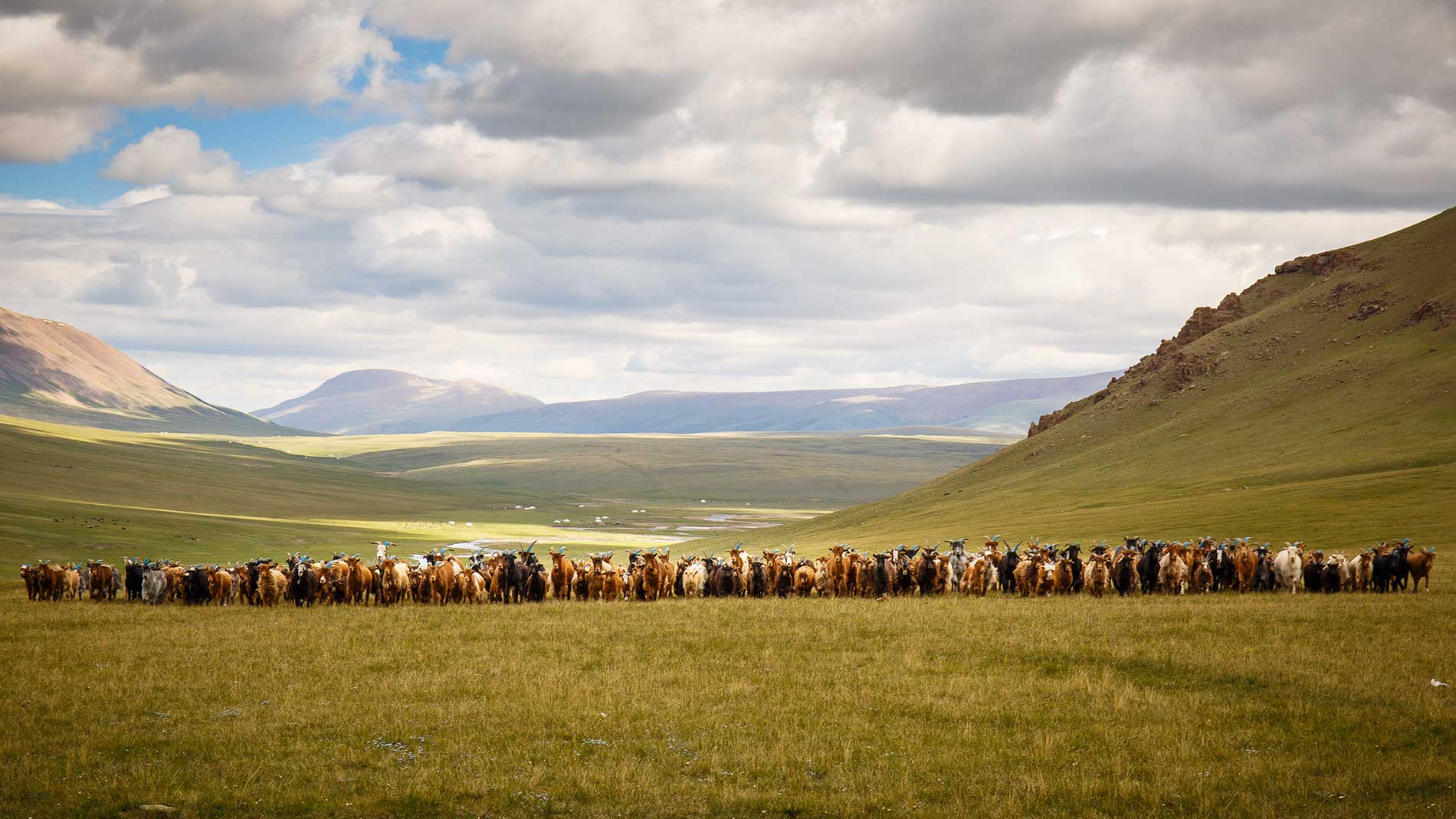 Нагорье внутренней Монголии