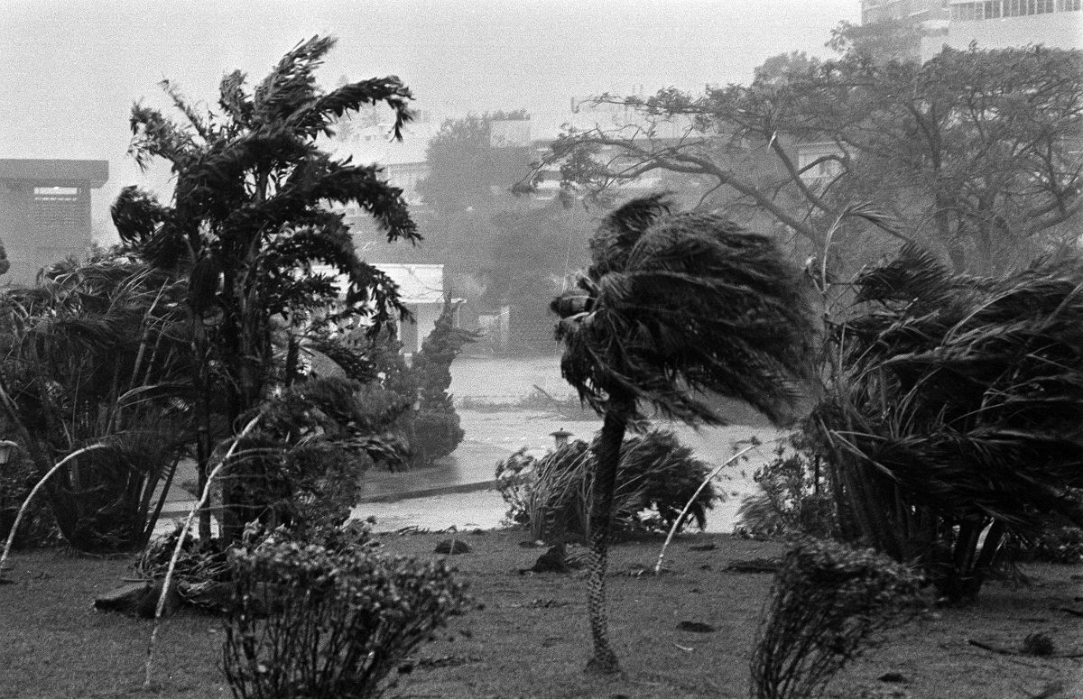 Hurricane force winds and torrential rain brought by Typhoon Ellen bend trees at Hong Kong Country Club
